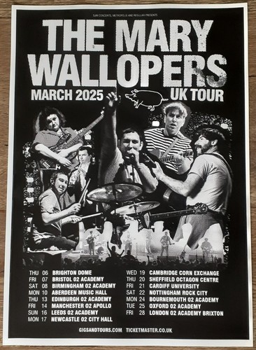 The mary wallopers live band - the,