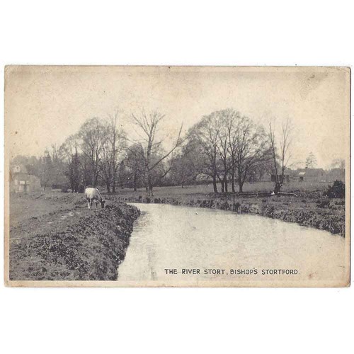 Bishops stortford - bishops,