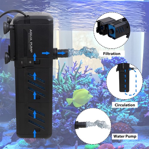 In1 aquarium fish - fish, tank