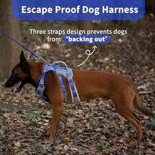 Strong Escape Proof Dog