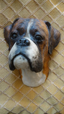 Wonderful, large life-like boxer dog wall hanging