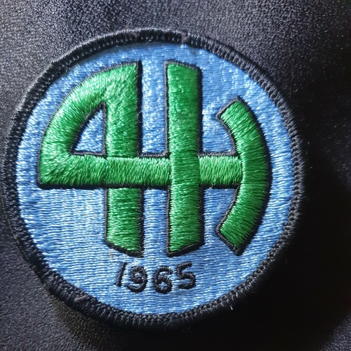 Rare 1965 girl guide - girl,