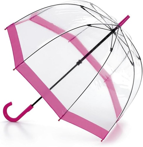Fulton birdcage transparent - birdcage,