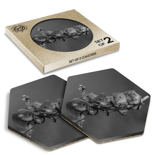 Hexagon coasters bw - x,