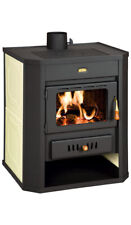 Wood Burning Stove Back Boiler