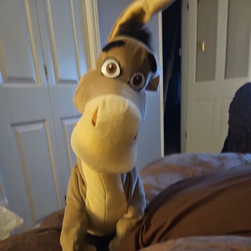 Adorable shrek donkey 2004 - adorable,