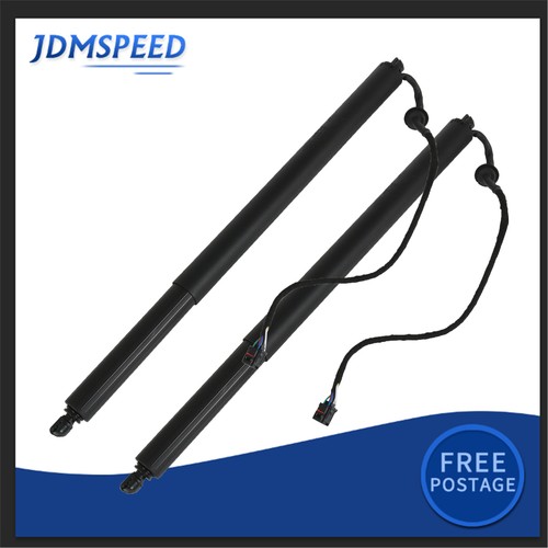 Electric tailgate gas - 2x,