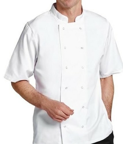 White chefs jacket boston - chefs,