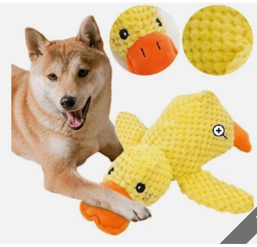 Pet dog chew - toys, duck