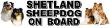 SHETLAND SHEEPDOG ON BOARD Dog