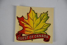 Vintage Automobile Decal