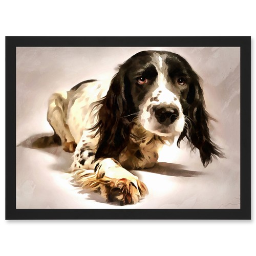 Springer spaniel cute dog - springer,