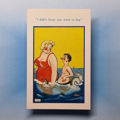 Saucy comic postcard - c1965, fat