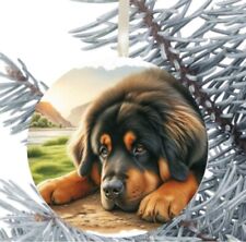 Tibetan Mastiff Dog Hanging