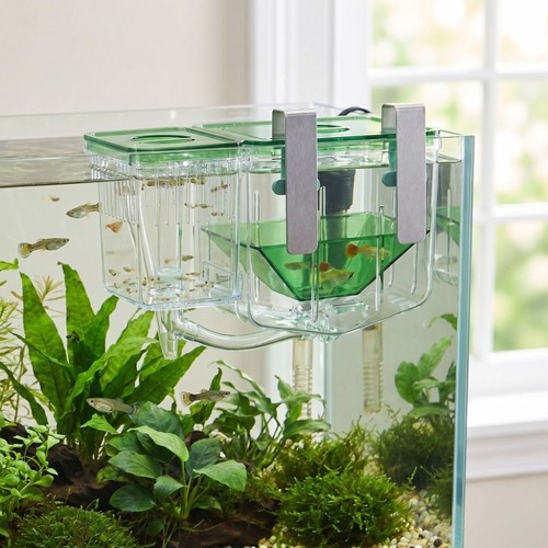 Aquarium breeder box - breeder,