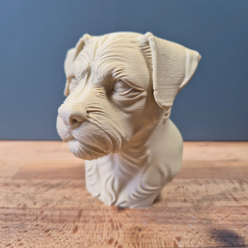 Border terrier bust - terrier,
