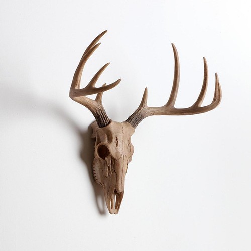 Animal heads wall decor - heads,