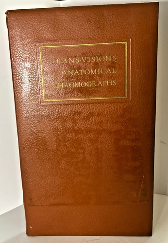 Vintage anatomical - vintage,