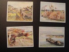 PLAYERS COUNTRY SPORTS DEER