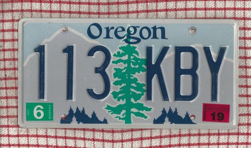 Oregon fir tree - fir,