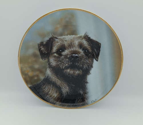 Danbury mint ever - alert, border