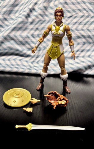 Masters the universe - the,