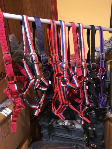 Pack nylon headcollars - of, 5