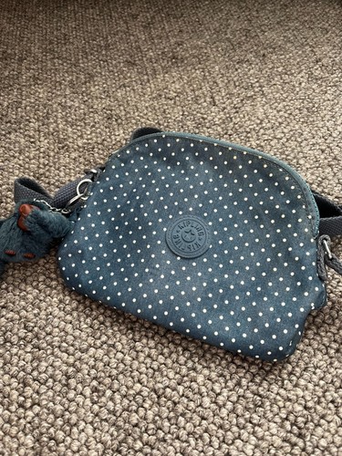 Small kipling polka dot - small,