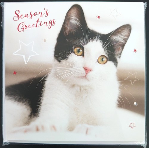Christmas cards cats - cards,