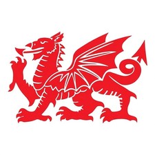 Welsh Dragon Cymru wales Vinyl