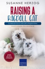 Raising a Ragdoll Cat –
