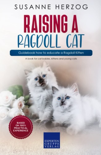 Raising ragdoll cat - raising,