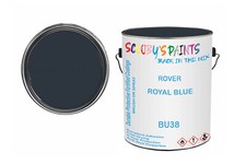 Classic Paint For Wolseley