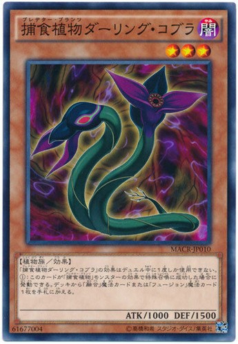 Macr jp010 yugioh - yugioh, japanese