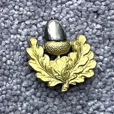 Cheshire Regiment : Officers'