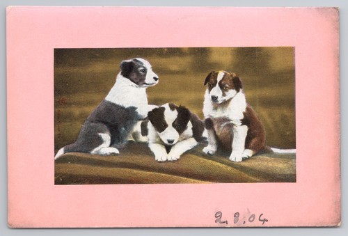 C1904 antique postcard three - c1904,