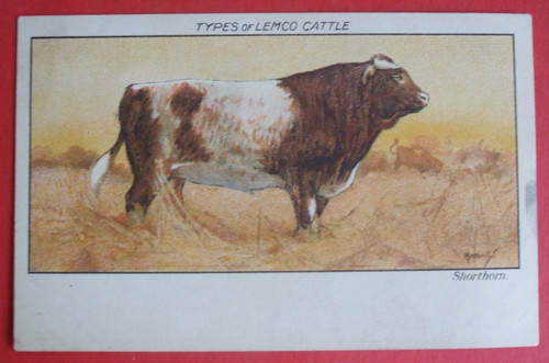 Old hassall card types of - hassall,