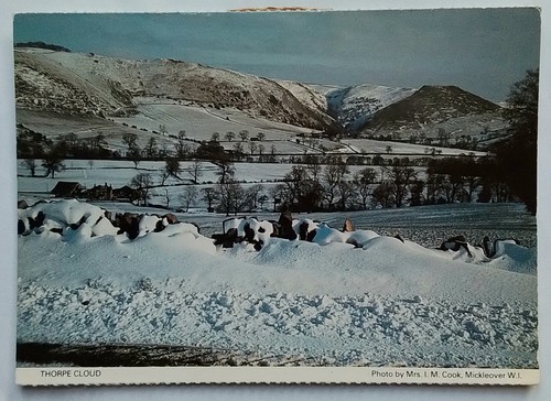 Vintage postcard thorpe - postcard,