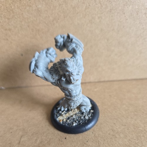 Warmachine hordes circle - warmachine,