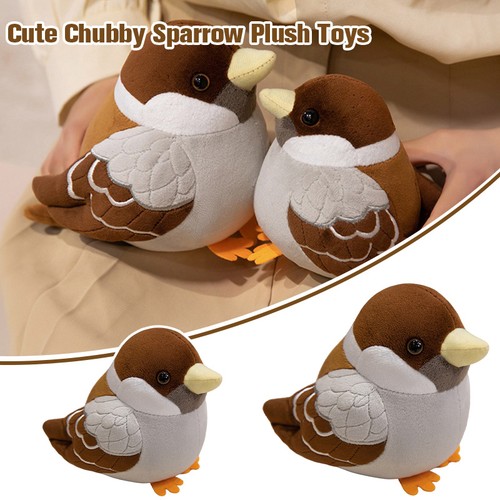 Cute chubby sparrow - cute,