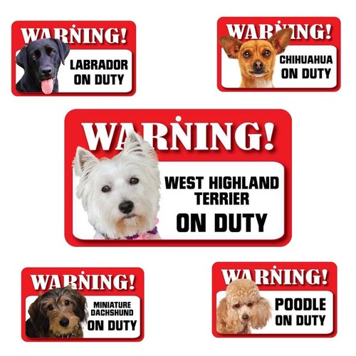 Pet dog laminated card - laminated,