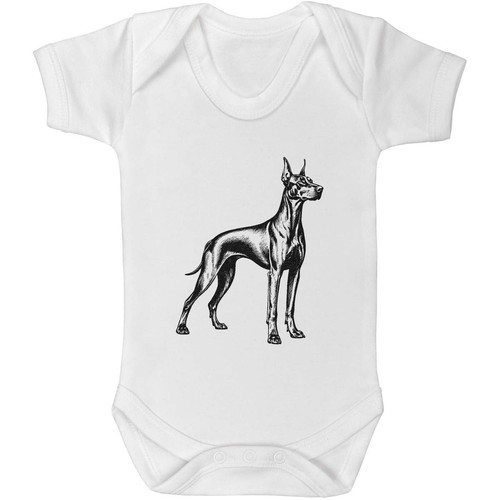 Doberman pinscher baby - 'doberman,