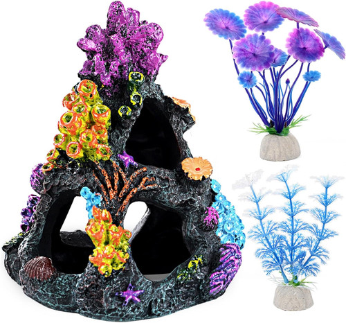 Fish tank coral - coral, reef