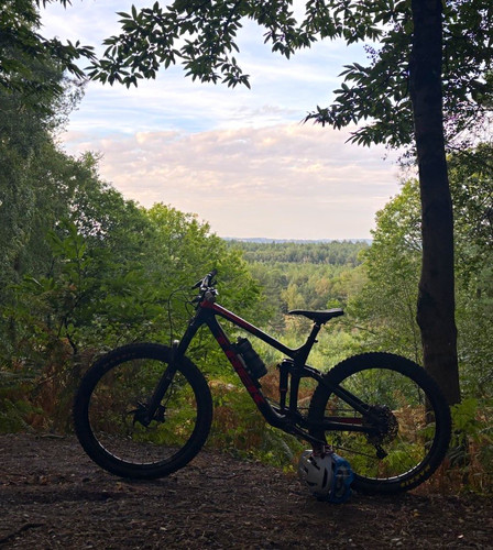 Trek remedy carbon - trek, 9.7