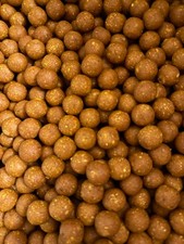 Carp fishing boilies - carp,