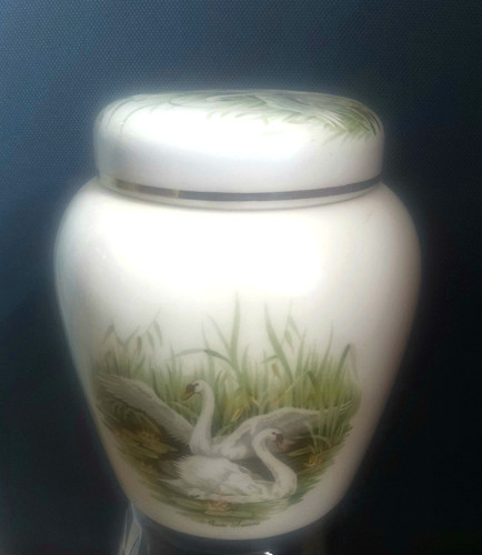Royal worcester palissy swan - palissy,