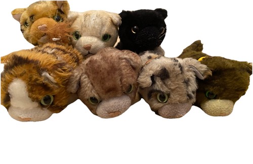 Original cat artist collection - artist,