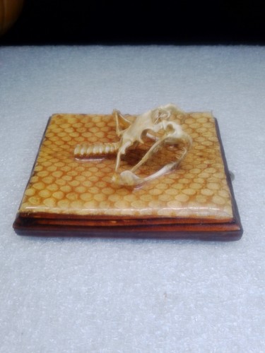 Vintage taxidermy rattlesnake - vintage,