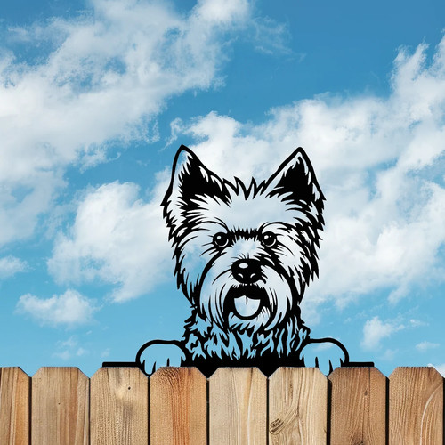 Peeking west highland terrier - west,