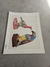 TPEEP346 MAGAZINE PLATE 11X8"